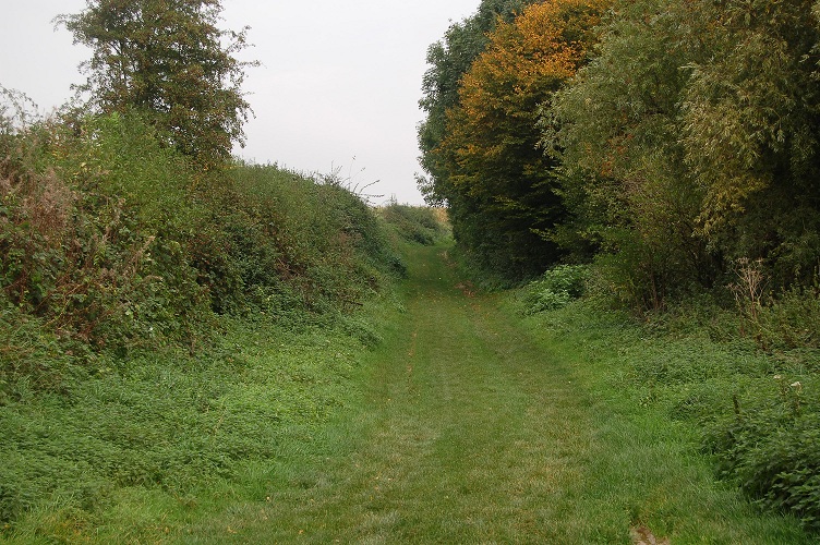 The Sunken Lane